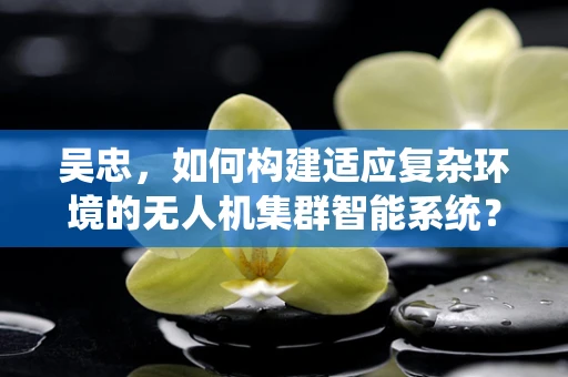 吴忠，如何构建适应复杂环境的无人机集群智能系统？