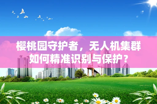 樱桃园守护者，无人机集群如何精准识别与保护？