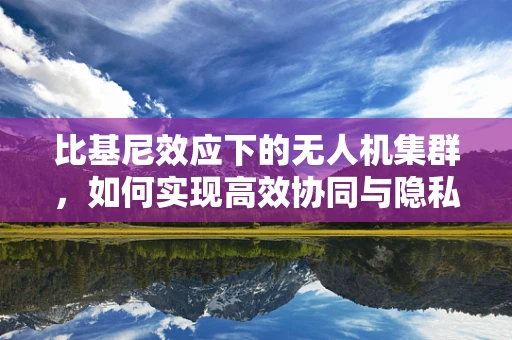 比基尼效应下的无人机集群，如何实现高效协同与隐私保护？