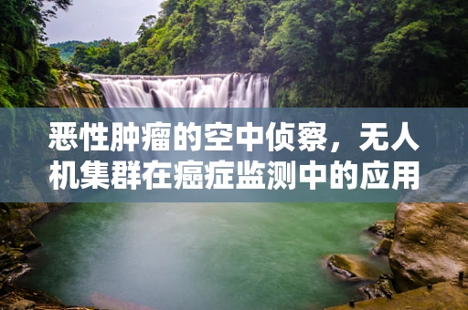 恶性肿瘤的空中侦察，无人机集群在癌症监测中的应用挑战