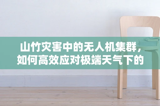 山竹灾害中的无人机集群，如何高效应对极端天气下的救援挑战？