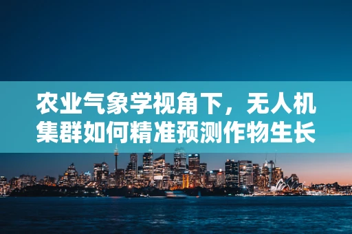 农业气象学视角下，无人机集群如何精准预测作物生长环境？