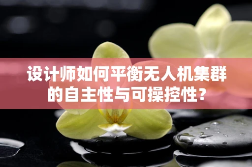 设计师如何平衡无人机集群的自主性与可操控性？