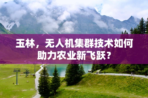 玉林，无人机集群技术如何助力农业新飞跃？