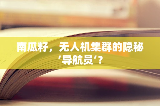 南瓜籽，无人机集群的隐秘‘导航员’？