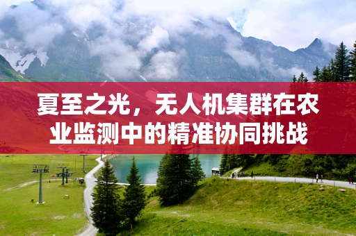 夏至之光，无人机集群在农业监测中的精准协同挑战