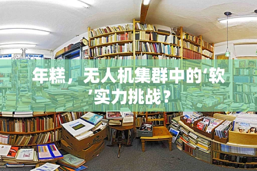 年糕，无人机集群中的‘软’实力挑战？