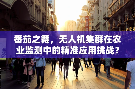 番茄之舞，无人机集群在农业监测中的精准应用挑战？