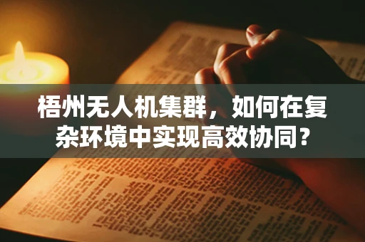 梧州无人机集群，如何在复杂环境中实现高效协同？