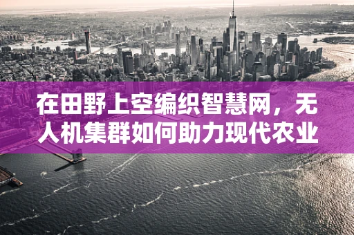 在田野上空编织智慧网，无人机集群如何助力现代农业的精准管理？