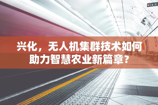 兴化，无人机集群技术如何助力智慧农业新篇章？