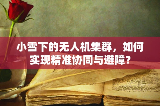 小雪下的无人机集群，如何实现精准协同与避障？