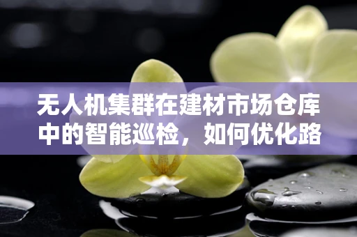 无人机集群在建材市场仓库中的智能巡检，如何优化路径规划以提升效率？