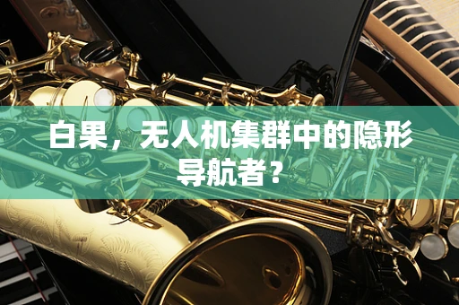 白果，无人机集群中的隐形导航者？