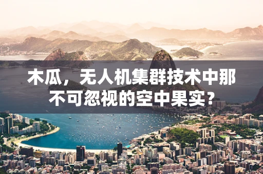 木瓜，无人机集群技术中那不可忽视的空中果实？