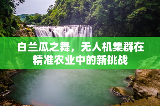 白兰瓜之舞，无人机集群在精准农业中的新挑战