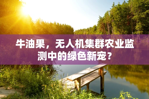 牛油果，无人机集群农业监测中的绿色新宠？