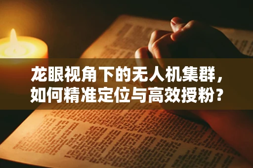 龙眼视角下的无人机集群，如何精准定位与高效授粉？