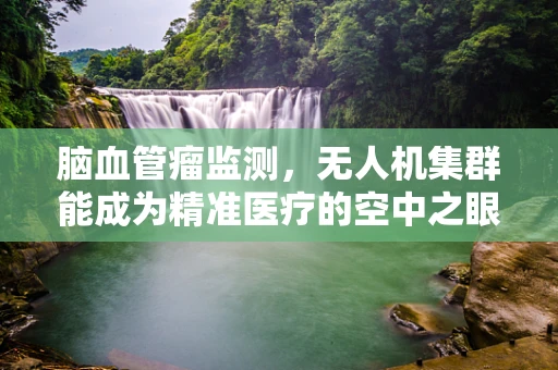 脑血管瘤监测，无人机集群能成为精准医疗的空中之眼吗？