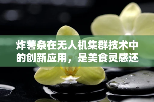 炸薯条在无人机集群技术中的创新应用，是美食灵感还是技术奇想？