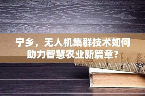 宁乡，无人机集群技术如何助力智慧农业新篇章？