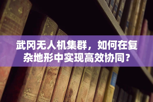 武冈无人机集群，如何在复杂地形中实现高效协同？