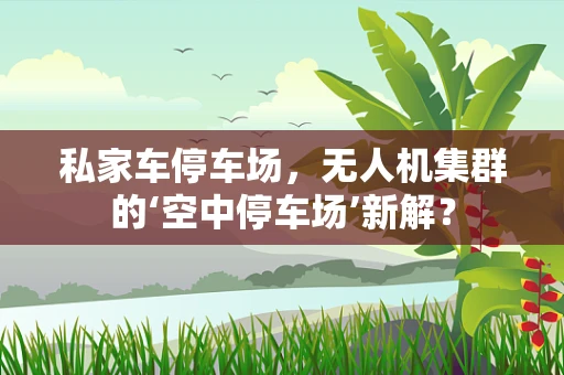 私家车停车场，无人机集群的‘空中停车场’新解？