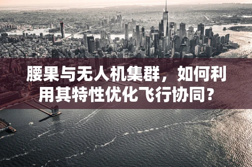 腰果与无人机集群，如何利用其特性优化飞行协同？
