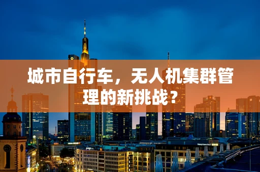 城市自行车，无人机集群管理的新挑战？