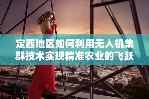 定西地区如何利用无人机集群技术实现精准农业的飞跃？