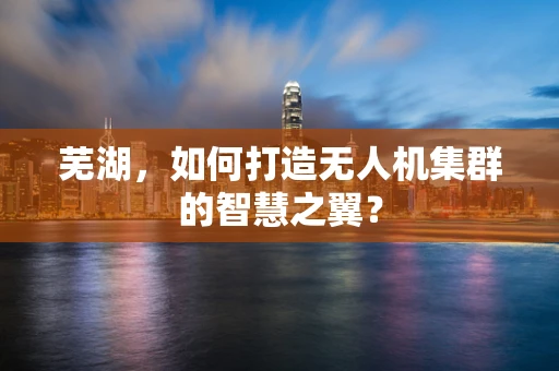 芜湖，如何打造无人机集群的智慧之翼？