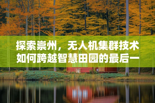 探索崇州，无人机集群技术如何跨越智慧田园的最后一公里？