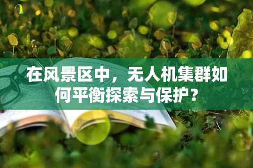 在风景区中，无人机集群如何平衡探索与保护？