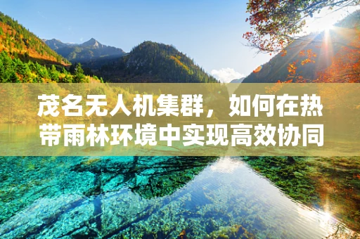 茂名无人机集群，如何在热带雨林环境中实现高效协同？
