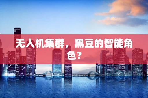 无人机集群，黑豆的智能角色？