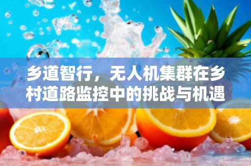 乡道智行，无人机集群在乡村道路监控中的挑战与机遇