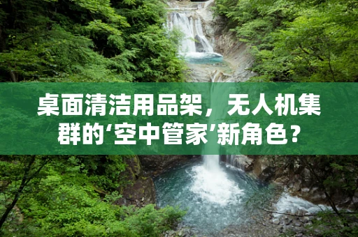 桌面清洁用品架，无人机集群的‘空中管家’新角色？
