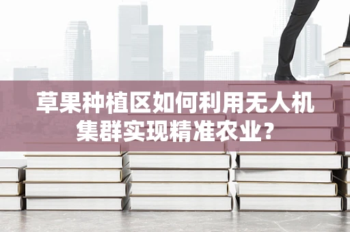 草果种植区如何利用无人机集群实现精准农业？