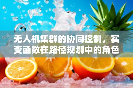 无人机集群的协同控制，实变函数在路径规划中的角色之问？