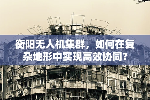衡阳无人机集群，如何在复杂地形中实现高效协同？
