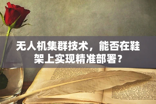 无人机集群技术，能否在鞋架上实现精准部署？