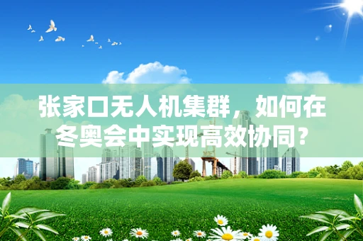 张家口无人机集群，如何在冬奥会中实现高效协同？