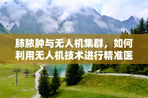 肺脓肿与无人机集群，如何利用无人机技术进行精准医疗物资配送？