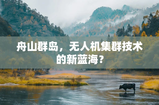 舟山群岛，无人机集群技术的新蓝海？