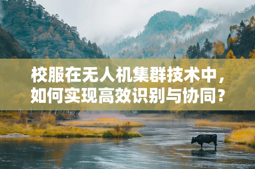 校服在无人机集群技术中，如何实现高效识别与协同？