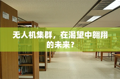 无人机集群，在渴望中翱翔的未来？