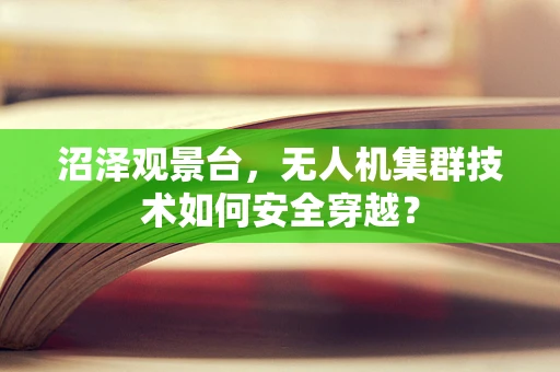 沼泽观景台，无人机集群技术如何安全穿越？
