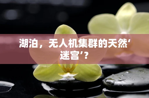 湖泊，无人机集群的天然‘迷宫’？