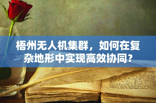 梧州无人机集群，如何在复杂地形中实现高效协同？