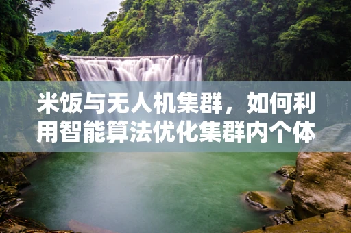 米饭与无人机集群，如何利用智能算法优化集群内个体间的能量分配？
